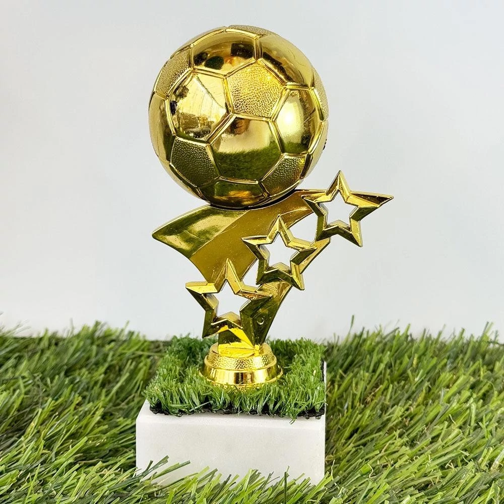 גביע מדגם הכוכבים של השנה